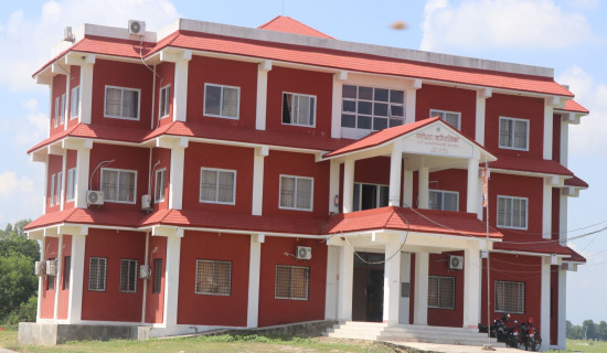 गुल्मीमा नेविसंघको छ क्याम्पसमा नेतृत्व, दुई अनेरास्ववियु र एक क्रान्तिकारी