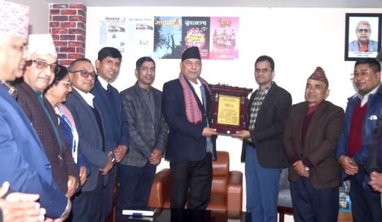 समस्याग्रस्त बिस सहकारी, आफैँ सञ्चालक आफैँ ऋणी