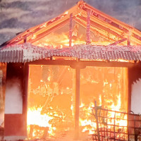 कृत्रिम जलाशयले हराभरा