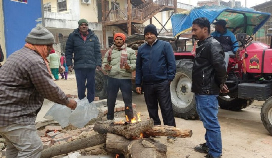 डिभिजन वन कार्यालयद्वारा निःशुल्क दाउरा वितरण