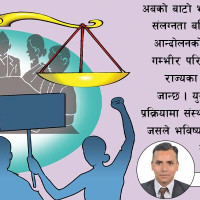 ‘मुलुक निर्वाचनको महोत्सवमा’