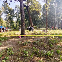 वीरगञ्जबाट ५३ अर्ब २६ करोडका वस्तु निर्यात