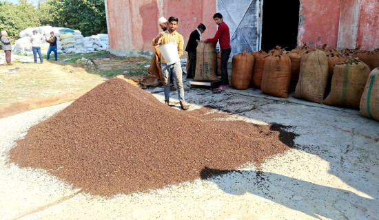 राष्ट्रपति रनिङ शिल्ड प्रतियोगिताको उपाधी धनजनतालाई