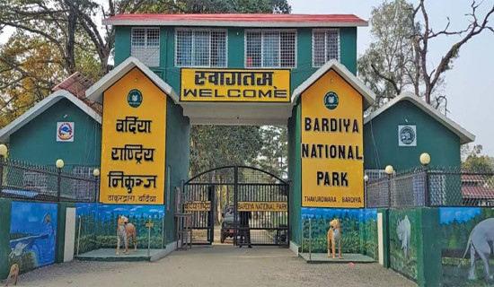 सुल्झियो पिजी अध्ययन विवाद