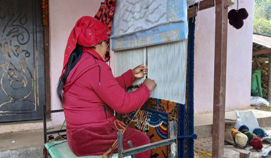 ज्याला उठाउनै मुस्किल भएपछि गलैँचा बुन्न छाड्दै महिला