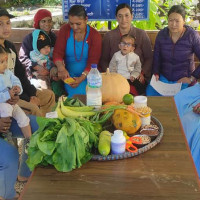 आयात रोक्न प्याजमा अनुदान