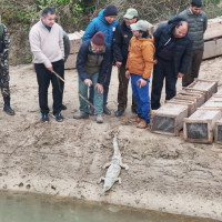 किशोरावस्थामा अर्धबेहोसीपनको चुनौती थपिँदै