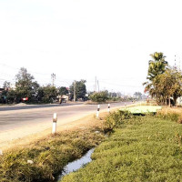 १७ वर्षपछि तारिक रहमानको स्वदेश फिर्ती