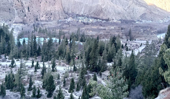 मानपुर–डेढगाउँ–बुलिङटार सडक १५ दिन बन्द