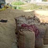 सैनामैनामा ऐतिहासिक तीन दिने भड्छा मेला सुरु