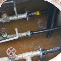 त्रिभुवन विश्वविद्यालयबाट १६ हजार ३८० विद्यार्थी दीक्षित