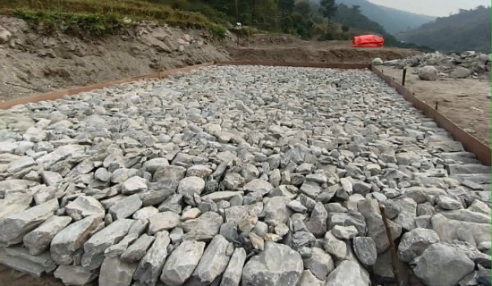 बिडिसिए कपः एकदिवसीय क्रिकेट सुरु