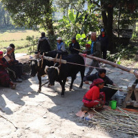 वैदेशिक रोजगारीमा ठगी रोक्न नयाँ कार्यक्रम