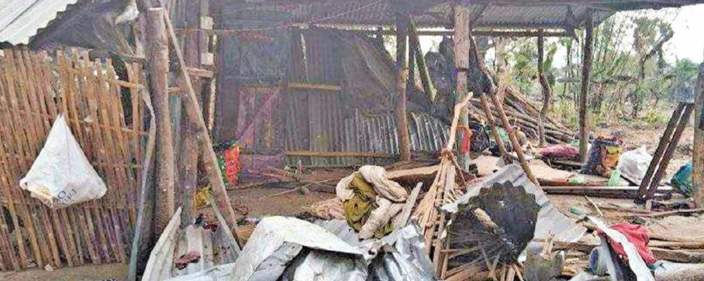 जङ्गली हात्तीको आतङ्क