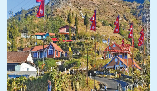 युवाको सक्रियतामा राष्ट्रिय झन्डा