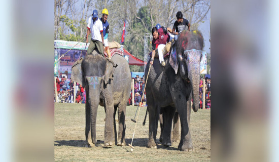 समावेशीकरणको दिशामा नयाँ फड्को : गोरखापत्रद्वारा प्रकाशित लिम्बू  भाषा