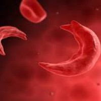 प्रभावकारी बनाउन सामूहिक प्रयास आवश्यक