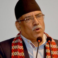 पाकिस्तान : आत्मघाती विस्फोट, १३ को मृत्यु र ३० घाइते