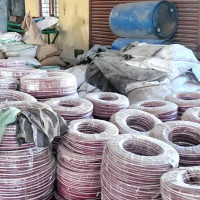 सडकको उज्यालोले चरा सङ्कटमा