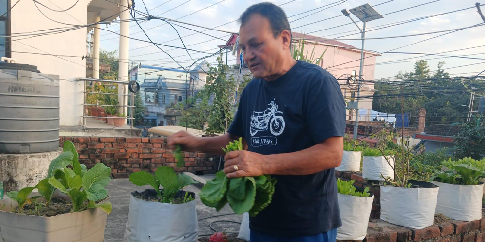 कृषिलाई जीवनशैली बनाउने सपना