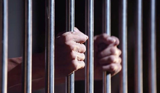 संयुक्त राष्ट्रसङ्घद्वारा बुशरा बीबीको हिरासतको अवस्थाको आलोचना