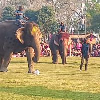 सामूहिक बलात्कार आरोपमा पाँच जना पक्राउ