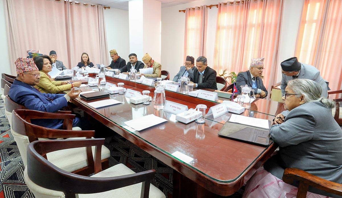 मन्त्रिपरिषद् बैठकका ६ निर्णय: पुस १५ गतेलाई राष्ट्रिय च्याउ दिवस मनाउने सरकारको निर्णय