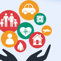 धौलागिरी कृषि तथा पशुपंक्षी फार्ममा फलेको किबी