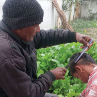 आजको मौसम पूर्वानुमान : दिनभर तराईमा हुस्सु