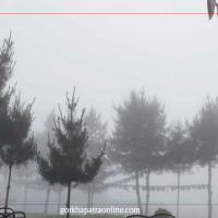 पानी संरक्षणमा उपराष्ट्रपति यादवको जोड