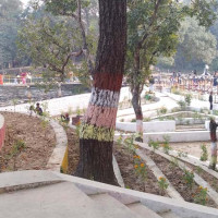 भालुले गरेको क्षतिको राहतका लागि पहल गरिने