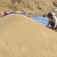 सेतो लुगा  (कथा)