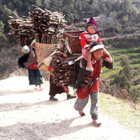 एनपिएलले नेपालमा क्रिकेटको व्यावसायिक सम्भावना बढाएको छ : मुख्यमन्त्री सिंह