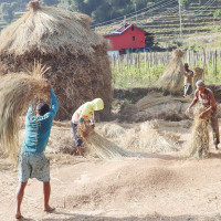 बाटो बनाउने पैसा निकुञ्जको छेकबारमा