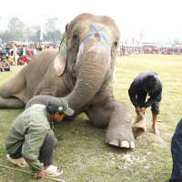 मालढुङ्गा–बेनी सडकको लस्ती–बेनी खण्डमा कालोपत्र सुरु