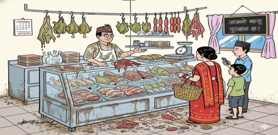 ऐन कागजमा, अस्वस्थ मासु भागमा