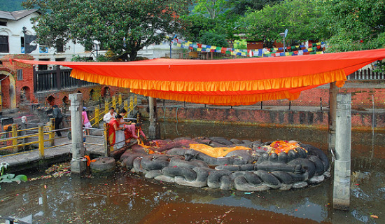 परराष्ट्र मन्त्री डा. राणाद्वारा विभिन्न देशका विदेशमन्त्रीसँग भेटवार्ता