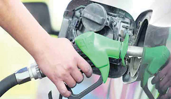 पेट्रोलियम पदार्थको आयात बढ्यो