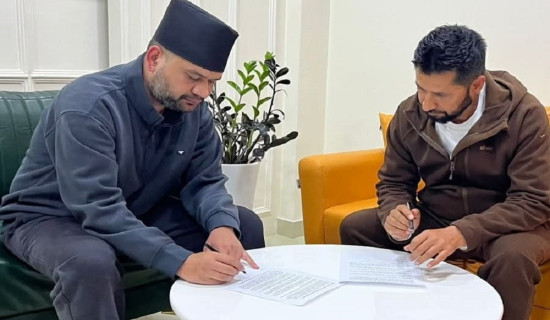 रवि–बालेनबिच सात बुँदे सहमति