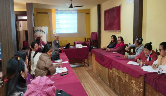 परराष्ट्र मन्त्री डा. राणाद्वारा विभिन्न देशका विदेशमन्त्रीसँग भेटवार्ता