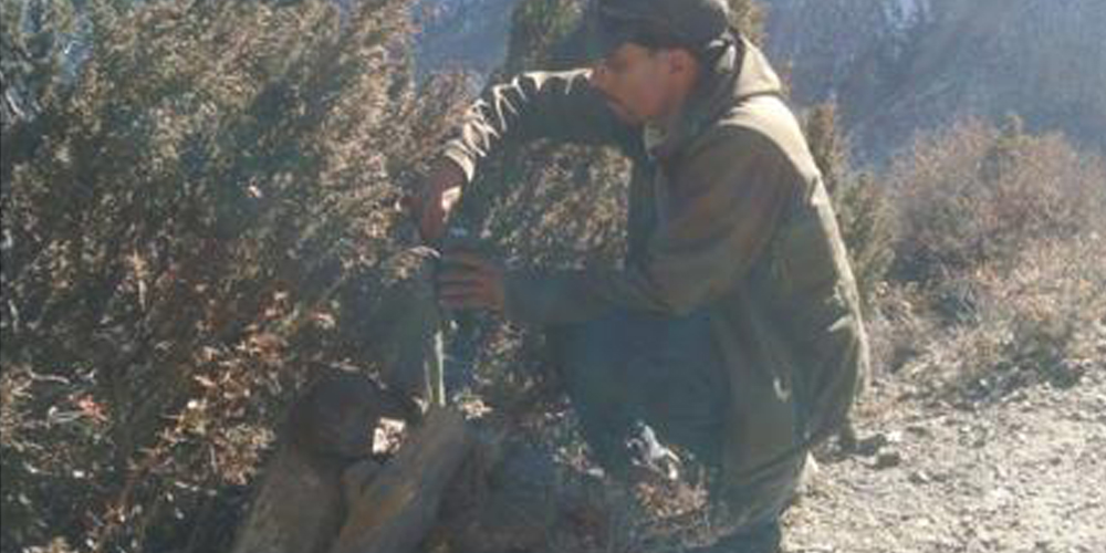 मनाङमा हिउँ चितुवा सर्वेक्षण : ङिस्याङ, नारफू र तिलिचो आसपासका क्षेत्र बासस्थान