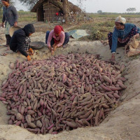उद्धार गरिएका बालबालिका परिवारको जिम्मामा