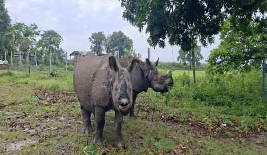 प्रविधिमै सीमित ‘अवतार : फायर एन्ड एस’