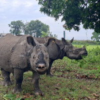एमाले मधेश प्रदेश अधिवेशनको लोगो सार्वजनिक