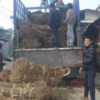 विदेशी नागरिकको अभिलेख