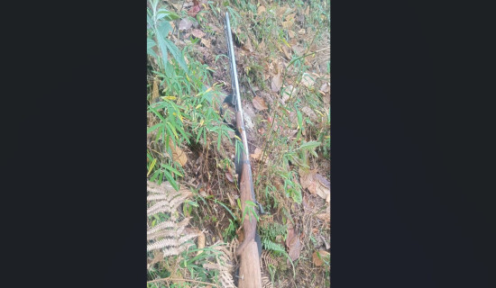 थः व कतः विमोचित