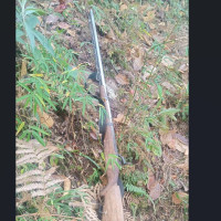 शिक्षकद्वारा विद्यार्थीमाथि कुटपिट