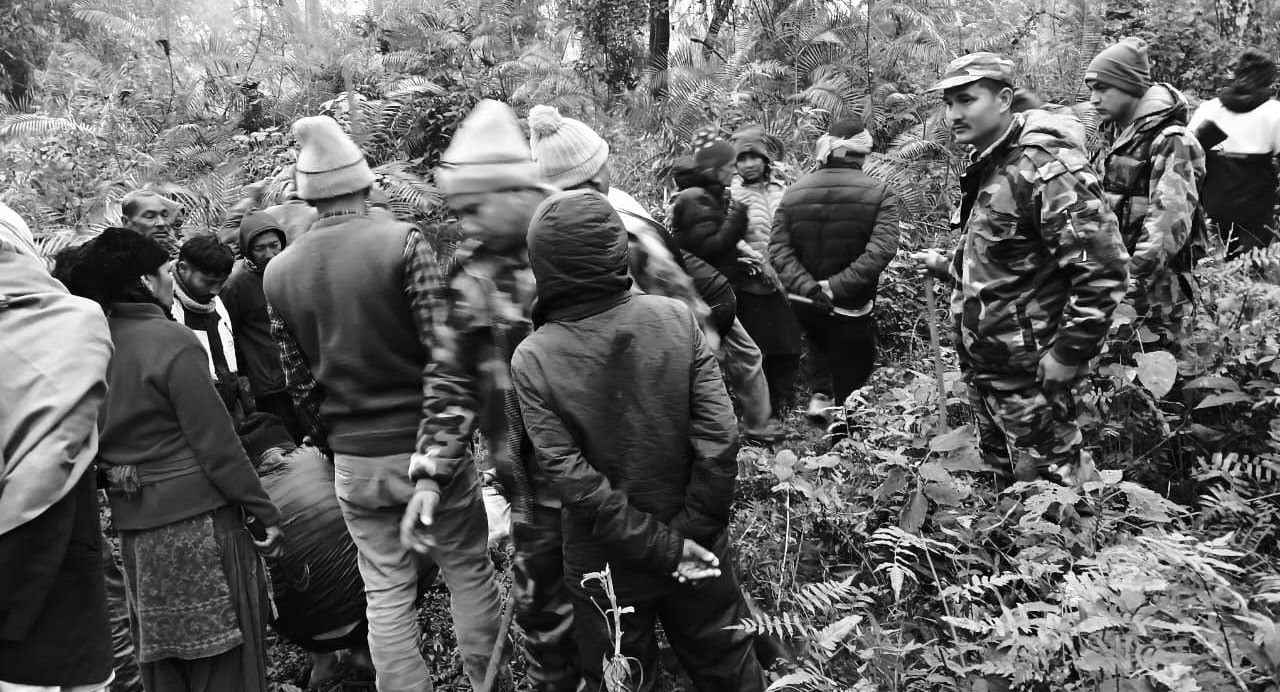 बाघको आक्रमणबाट वृद्धाको मृत्यु