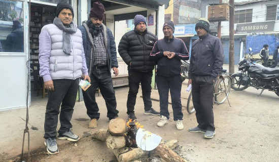 नगरपालिकाद्वारा निःशुल्क दाउरा वितरण