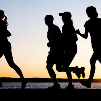 शुक्लाफाँटा निकुञ्ज विस्थापितका पीडा : ३३ आयोग गठन भए, समस्या उस्तै